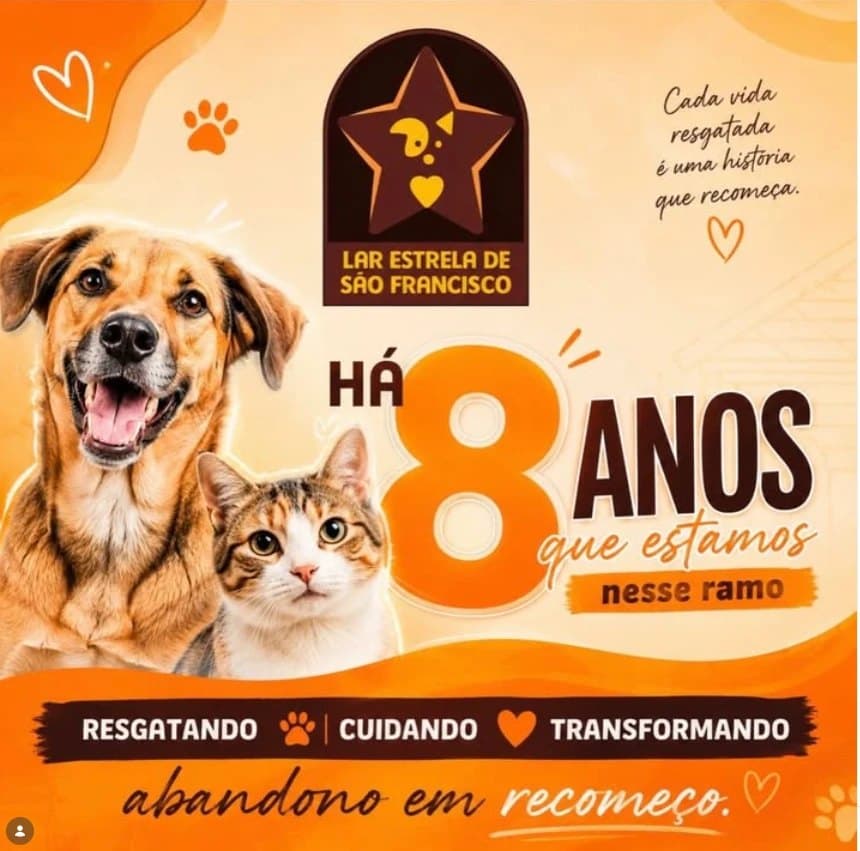 Arte do Instagram: há 8 anos resgatando, cuidando e transformando. Abandono em recomeço.