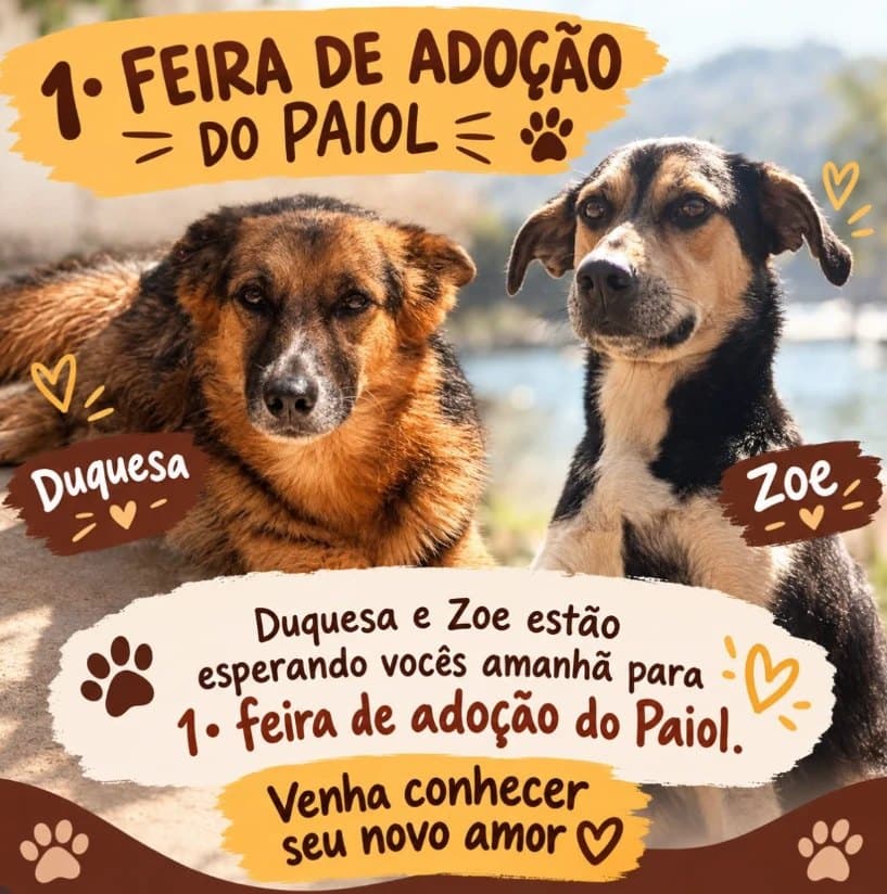 Arte do Instagram: Duquesa e Zoe esperam por você na 1ª Feira de Adoção do Paiol.